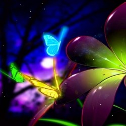 animated-butterfly-wallpaper